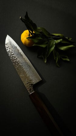 Alternative view of FURU Keyaki Santoku Damascus Knife