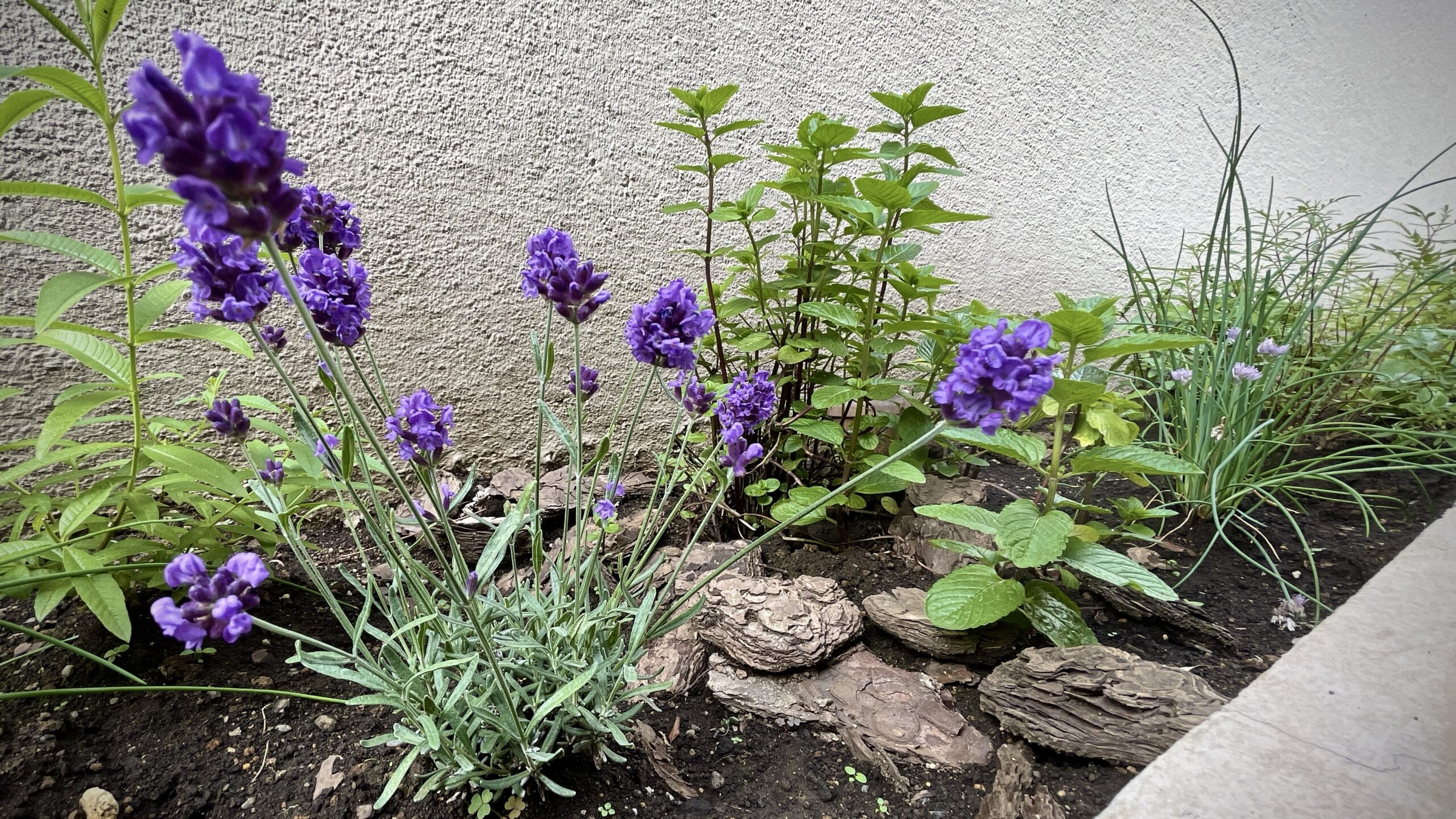 Herb Garden Tools