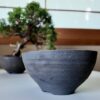 Shigaraki bonsai pot side profile artisan pottery TomoBonsai